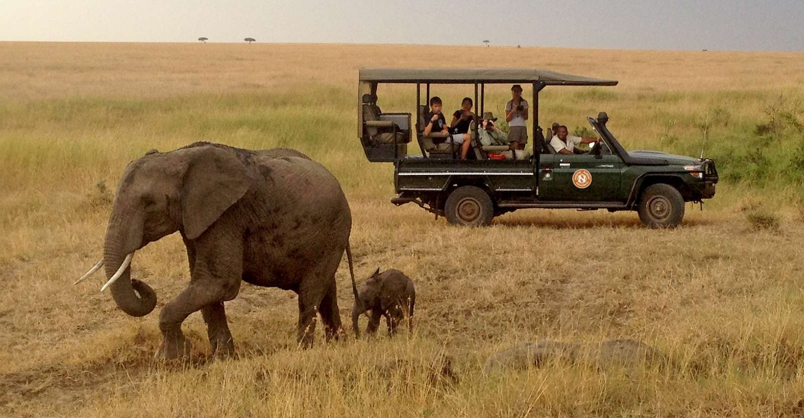 Elephants and Nat Hab guests, Mara Private Conservancy, Kenya.